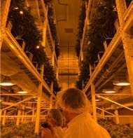 Indoor, multiple layers, separate veg and flower rooms, SON-T