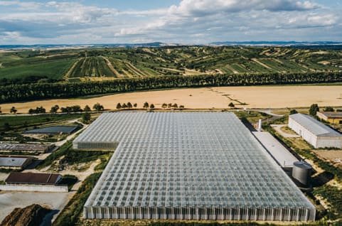 Greenhouse Mutěnice