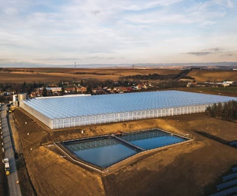 Greenhouse Smržice
